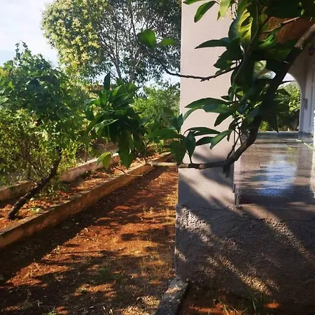 χαλκιδα δροσια μονοκατοικια شقة دروسيا